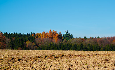 Image showing Autumn lanscape colour trees and meadow