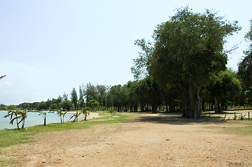 Image showing Beach