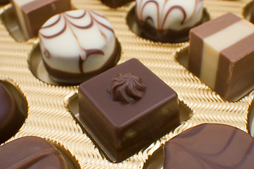 Image showing Chocolate pralines