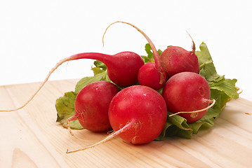 Image showing Red radish