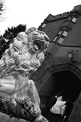 Image showing bride on the steps of ruthin castle