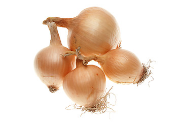 Image showing Four ripe onions