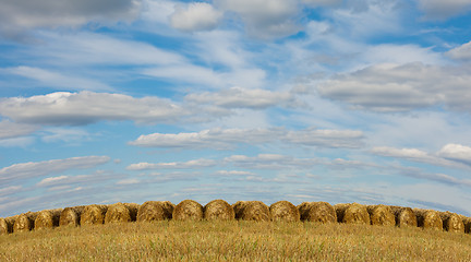 Image showing straw stacks on the field