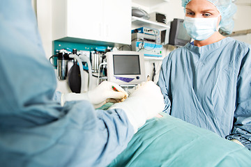 Image showing Surgery at Vet Clinic