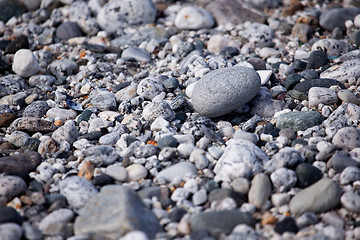 Image showing Pebble Background