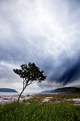 Image showing Landscape Remote Coast