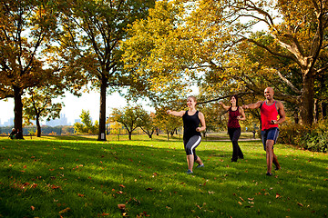 Image showing Martial Arts Park