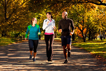 Image showing Fall Jog Park