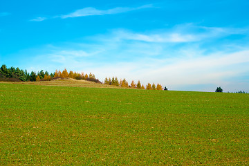 Image showing Nice autumn field with blue sky and clouds