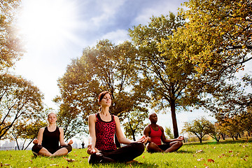 Image showing Park Yoga