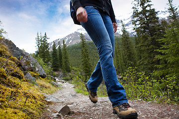 Image showing Hike Detail in Mountains