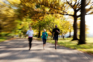 Image showing Park Jogging