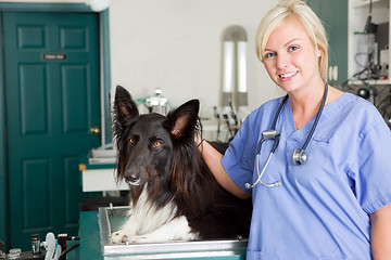 Image showing Dog at the Vet