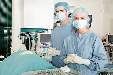 Image showing Vet Surgery 