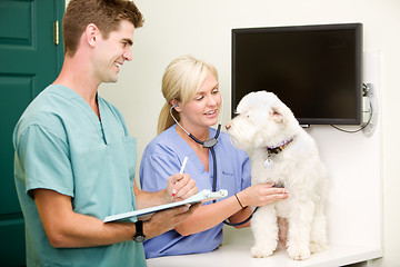 Image showing Dog Vet Check-Up