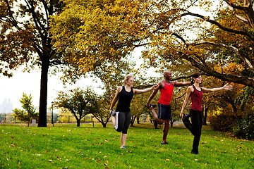 Image showing Stretching Fitness