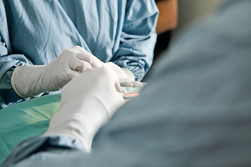 Image showing Surgery Detail