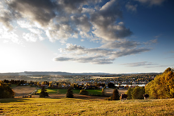 Image showing Rural Landscape