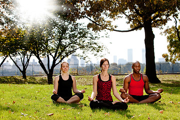 Image showing Yoga in Park