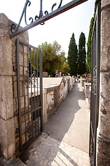 Image showing Stone Graveyard