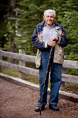 Image showing Senior Man Walking