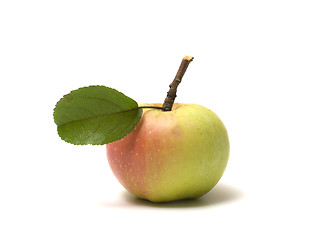 Image showing Apple.