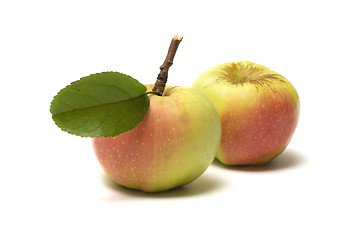 Image showing Apples.