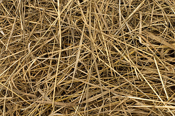 Image showing Straw.