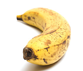 Image showing Banana macro.