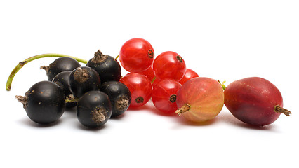 Image showing Berries.