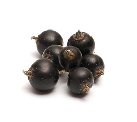 Image showing Black currant.