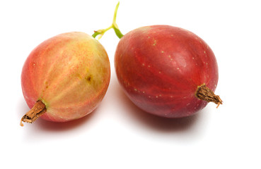 Image showing Gooseberry.