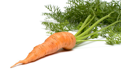 Image showing Carrot.