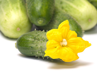 Image showing Cucumber.