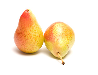 Image showing Pears.