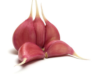 Image showing Garlic.