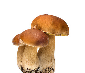 Image showing Three cep.