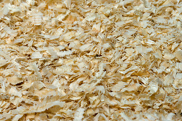 Image showing Sawdust.