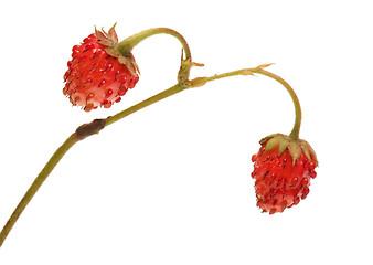 Image showing Strawberries.