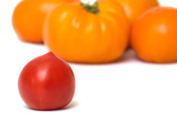 Image showing Tomatoes.