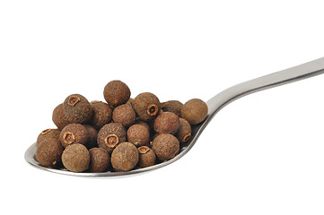 Image showing Allspice