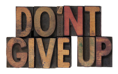 Image showing do not give up phrase in wooden type