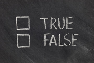 Image showing true or false checkboxes