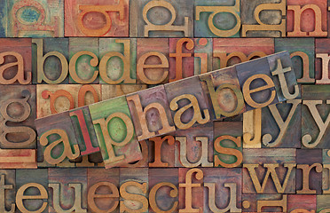 Image showing alphabet in vintage wood type