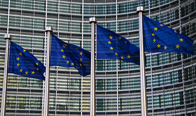 Image showing European Flags in Brussels