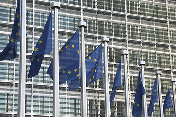 Image showing European flags in Brussels