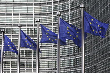 Image showing European flags in Brussels