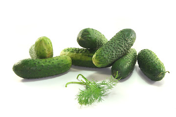 Image showing Pickling cucumbers