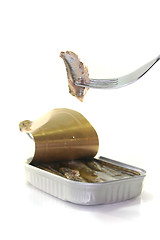 Image showing Tin anchovies