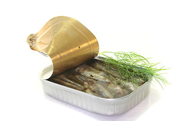 Image showing Tin anchovies